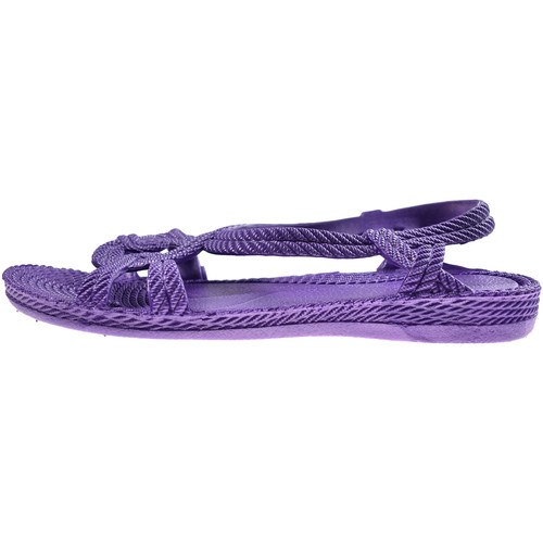 Brasileras - Esmirna Violeta