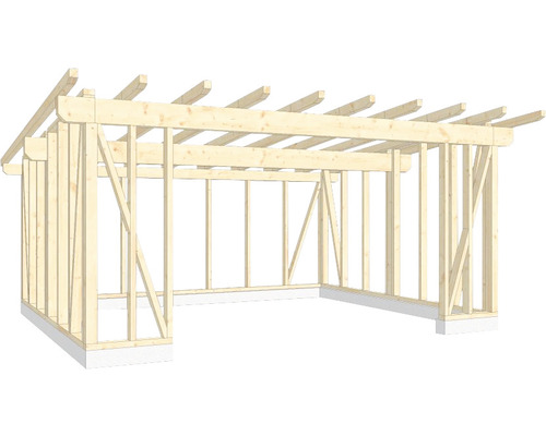 Houtskeletbouw, lessenaarsdak 500x600 cm