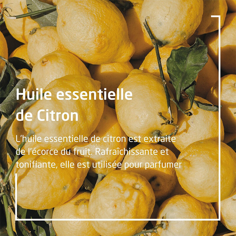 Crème de Douche vivifiante - Citrus - Corps - 200 ml