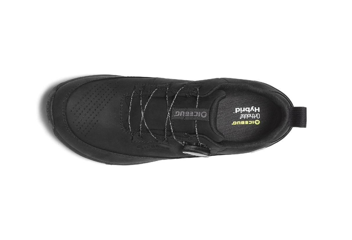 Icebug<br>Ava Biosole