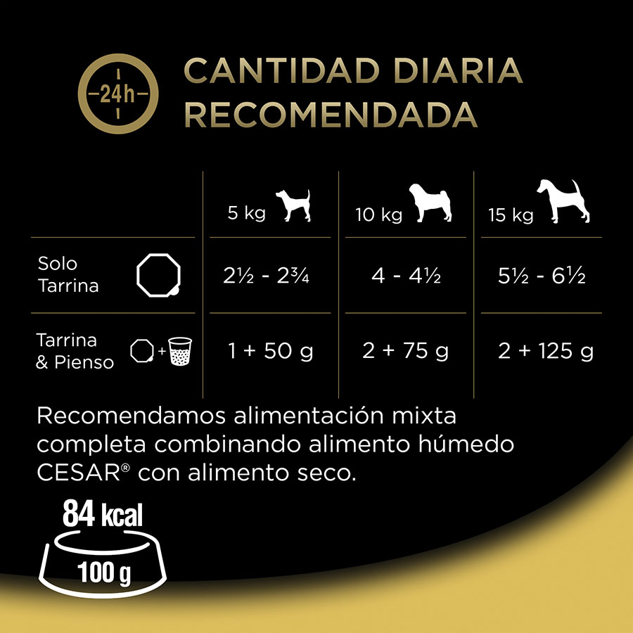 Ração para cães Cesar Country Recipe em molho - Pacote múltiplo