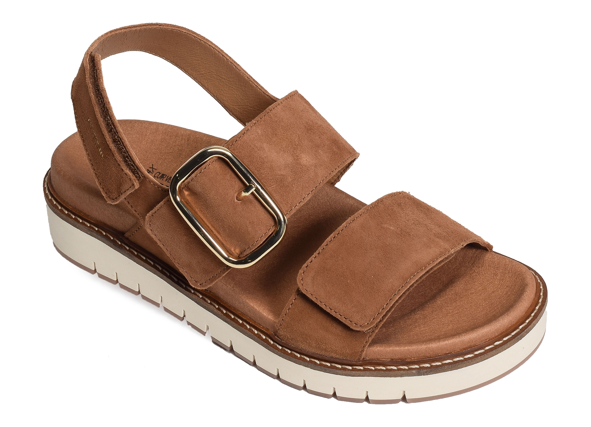 Belona camel