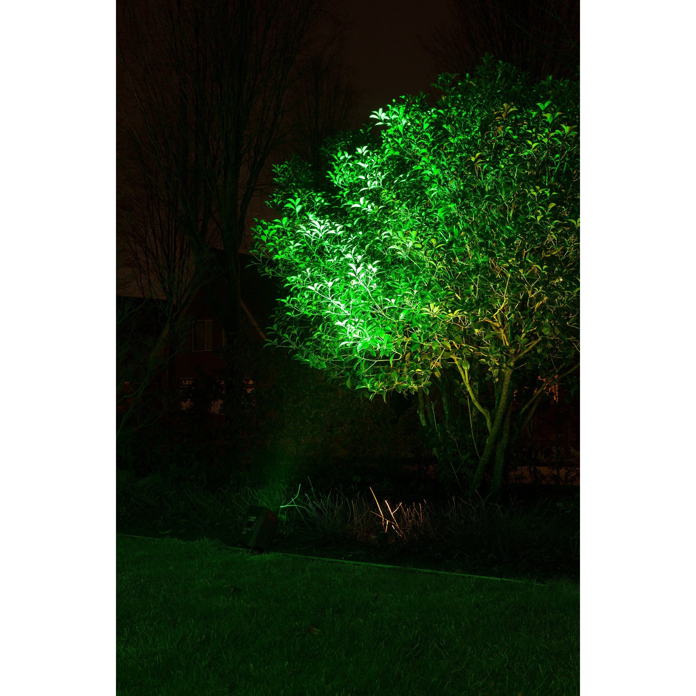 BeamZ BBP96 Battery Uplight Par 6x 12W