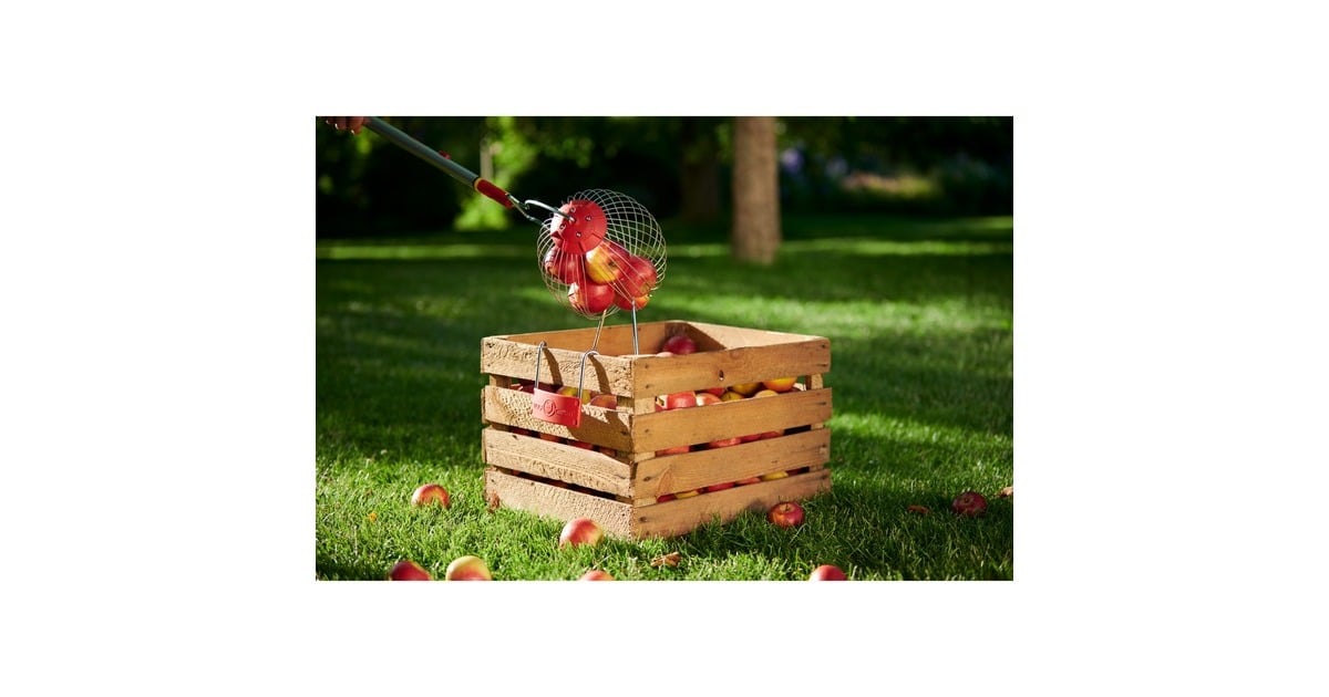 WOLF-Gartenmulti-star FC-M fruitverzamelaar fruitplukker  (Rood, beugel inbegrepen)
