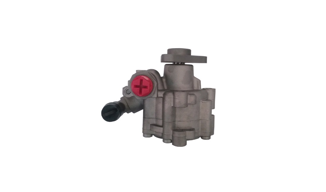 Servopumpe