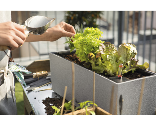 Lechuza Balconera Stone kunststof bloembak 50x19x19 cm grijs incl. zelfbewateringssysteem en plantinzet