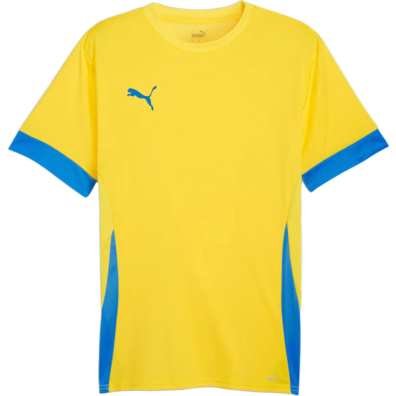 Puma GOAL Training Shirt