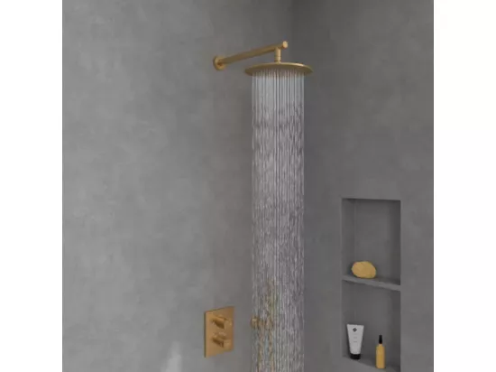 Douche de tête VILLEROY ET BOCH Universal ronde Or brossé