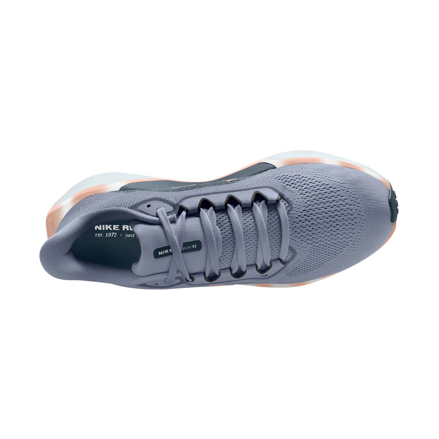 Nike  Pegasus 41 Dames