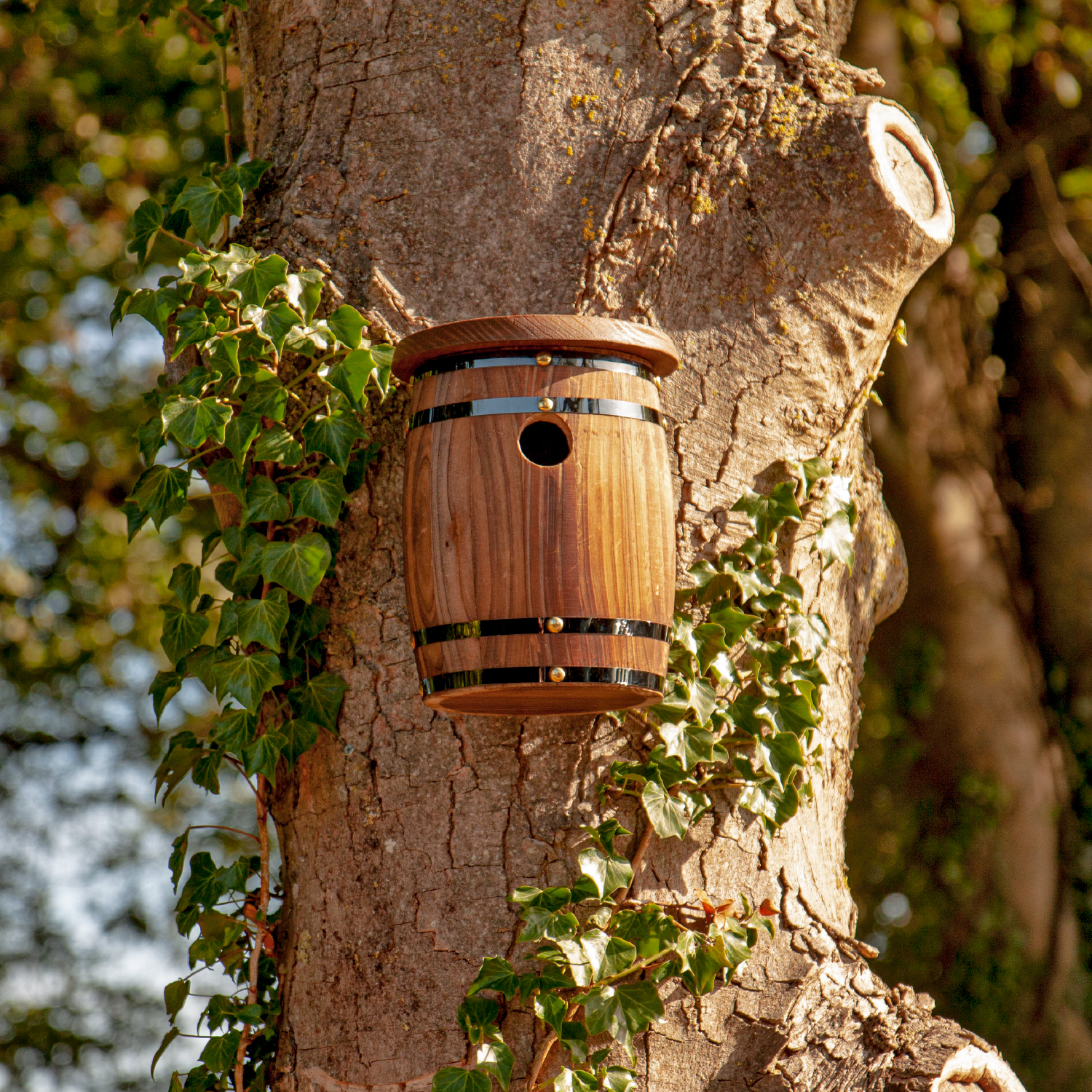 Nid d'oiseaux en baril