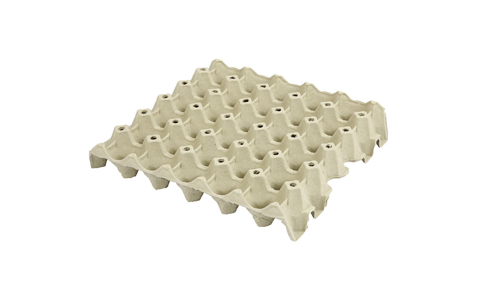 Papp-Schachtel Eier 29 x 29 x 4 cm 20 StückEierkarton