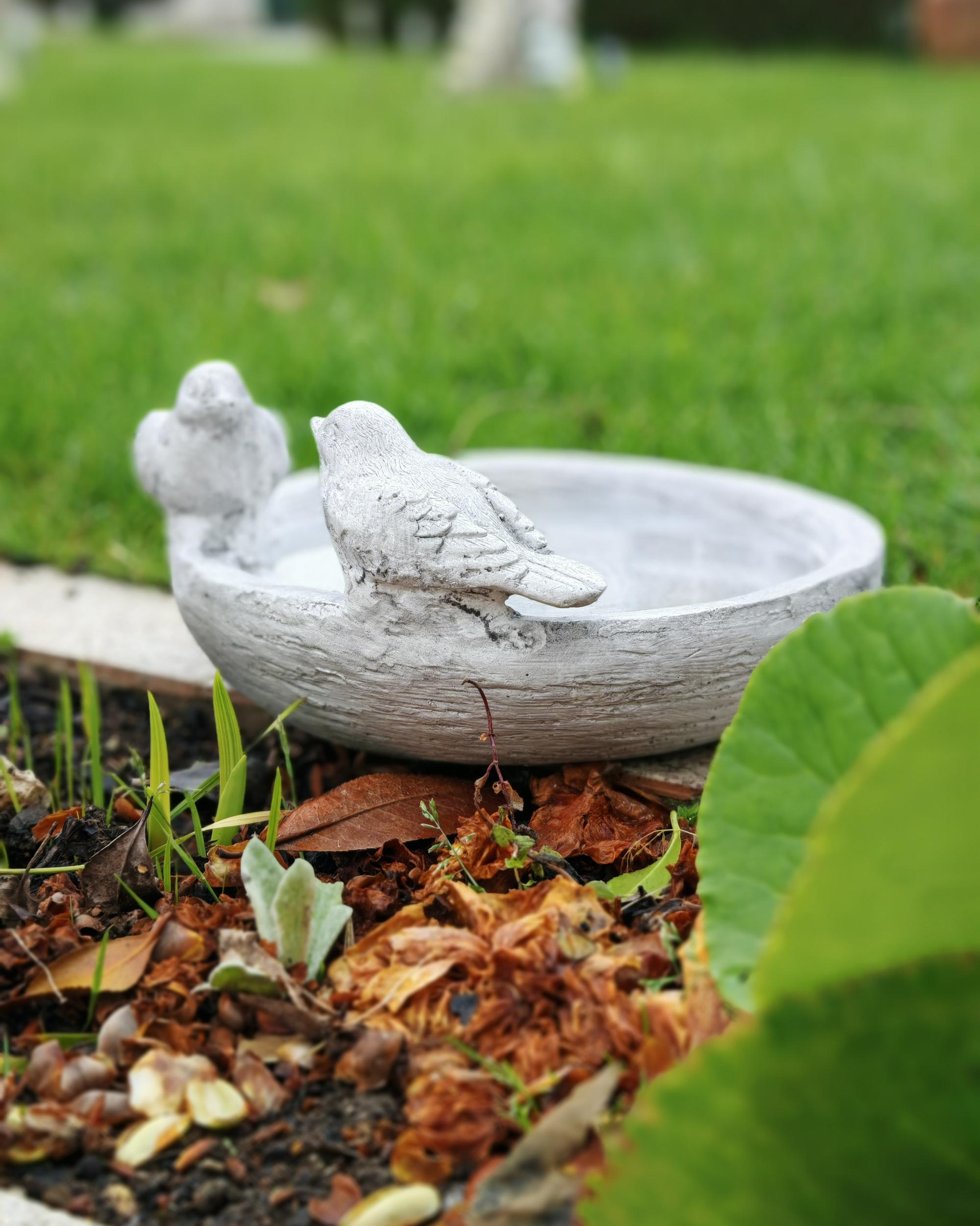 Vogelbad MAMOU Vogel Grijs