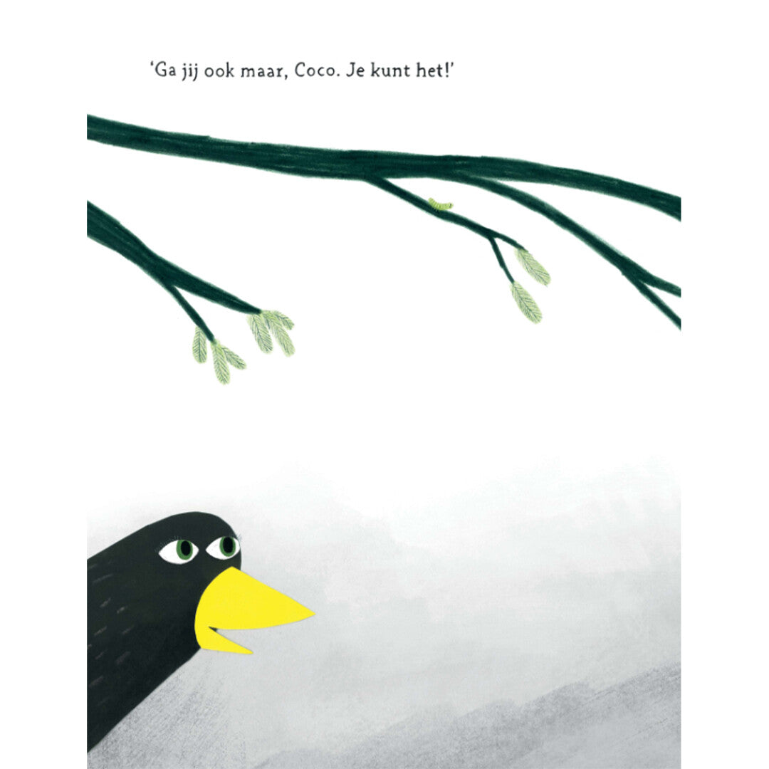Uitgeverij gottmer coco kan het