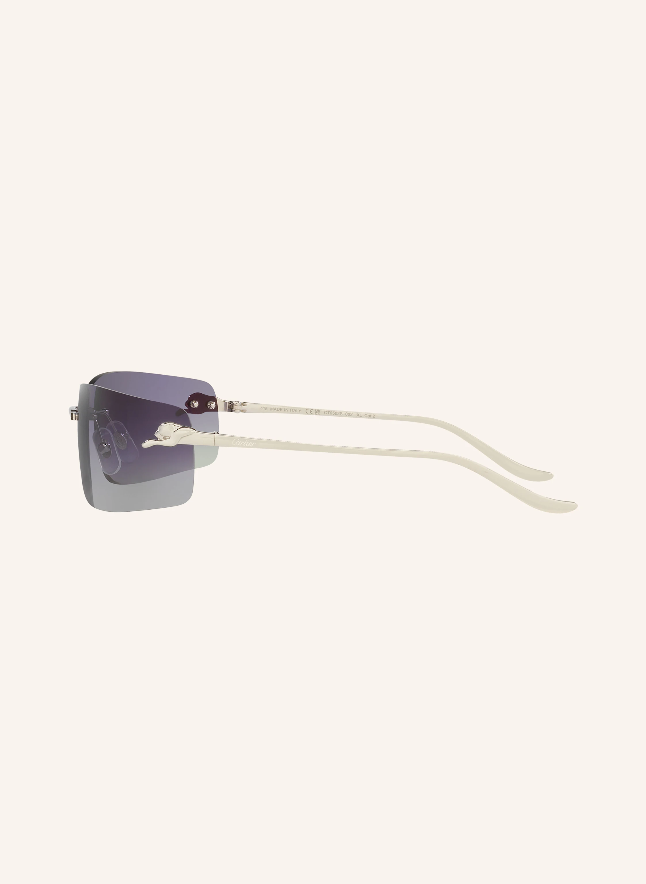 Cartier Sonnenbrille 6L001766