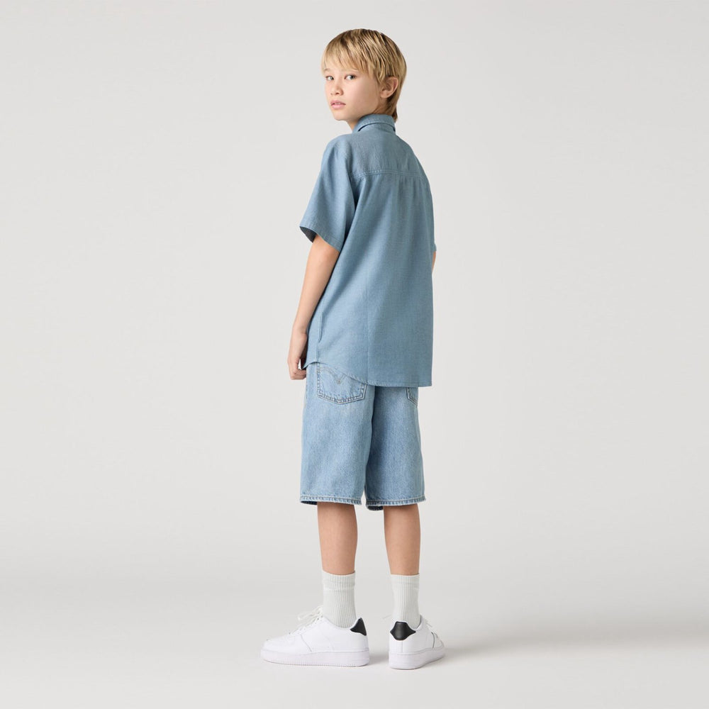 Køb Levi's From Scratch No Destruction Lvb Skate Shorts
