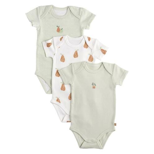 Lot de 3 bodies 6 mois manches courtes BOTANICA - SAUTHON Baby déco