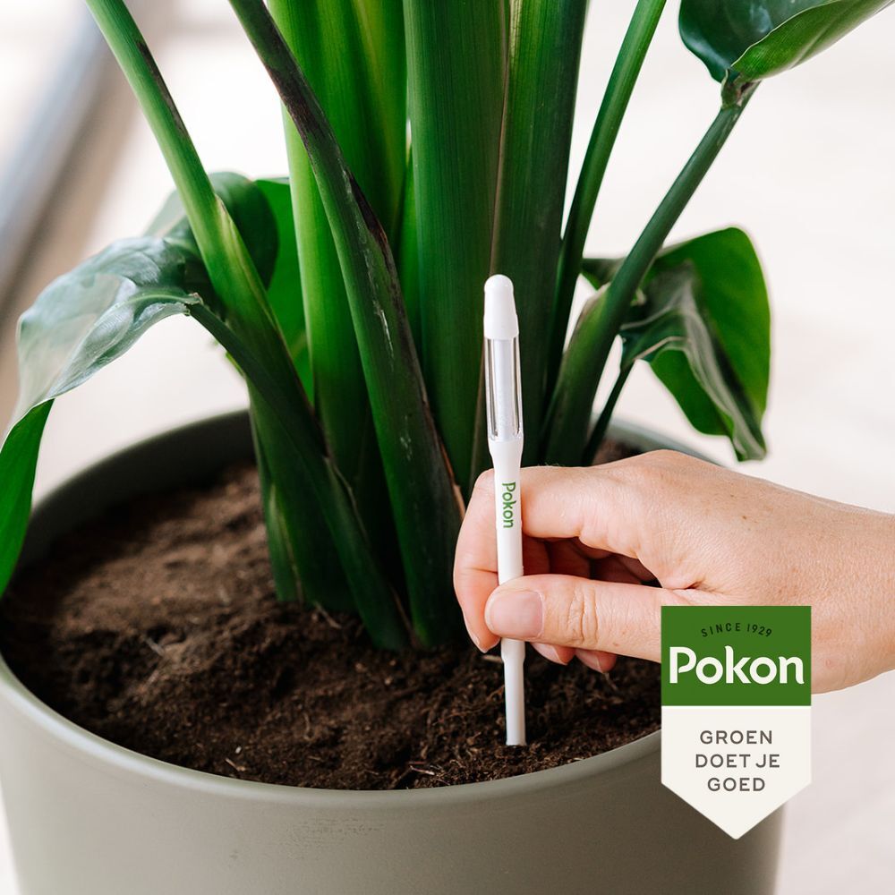 Pokon Watermeter 23 x 6,4 x 1 cm