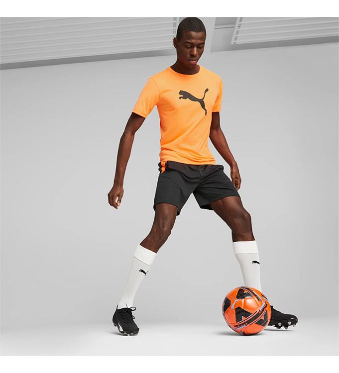 PUMA Men Teamliga Training Shorts 2