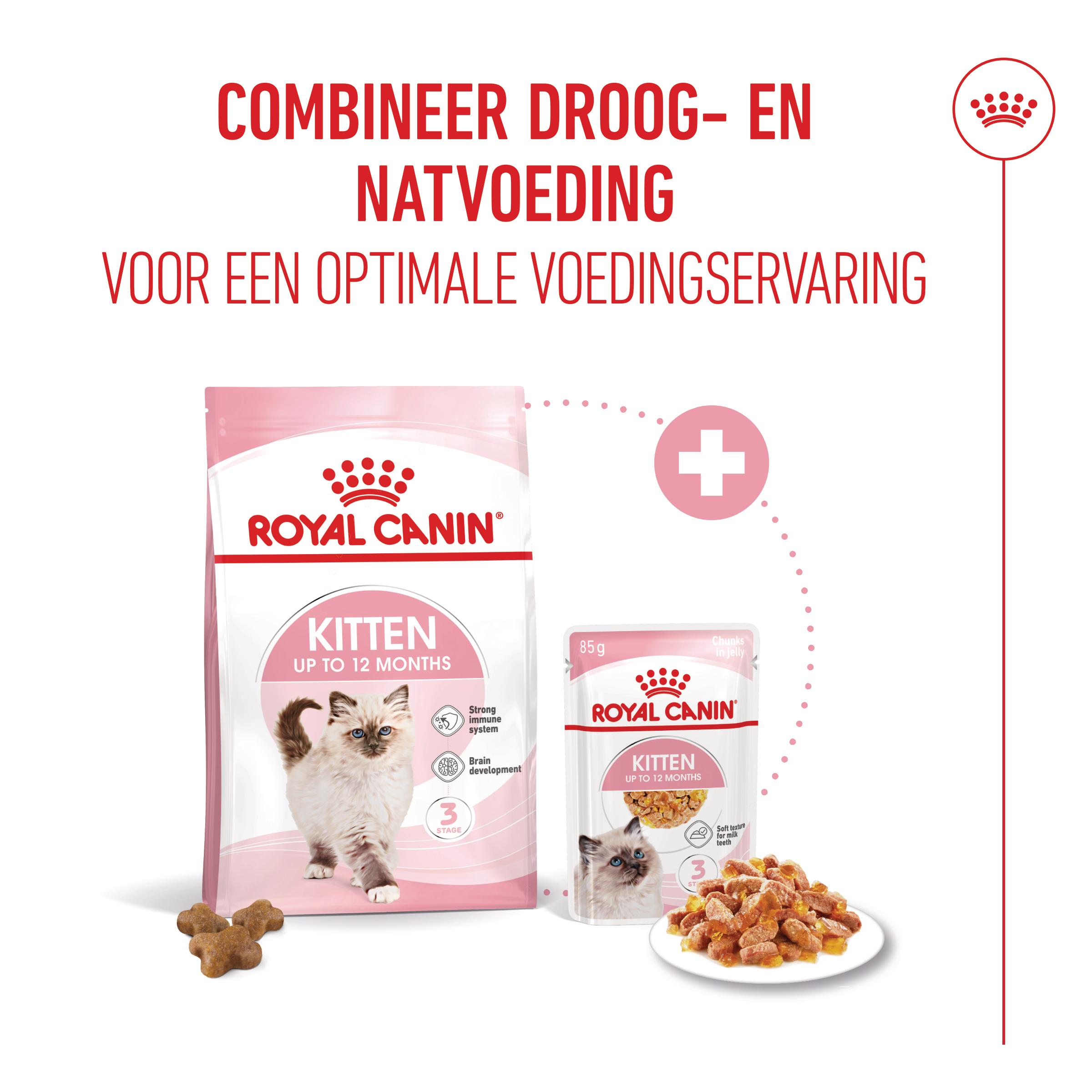 Royal Canin Kitten in Jelly - Kattenvoer