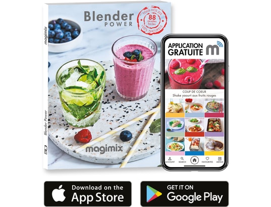 MAGIMIX - Blender Power 3 Chrome mat 11641