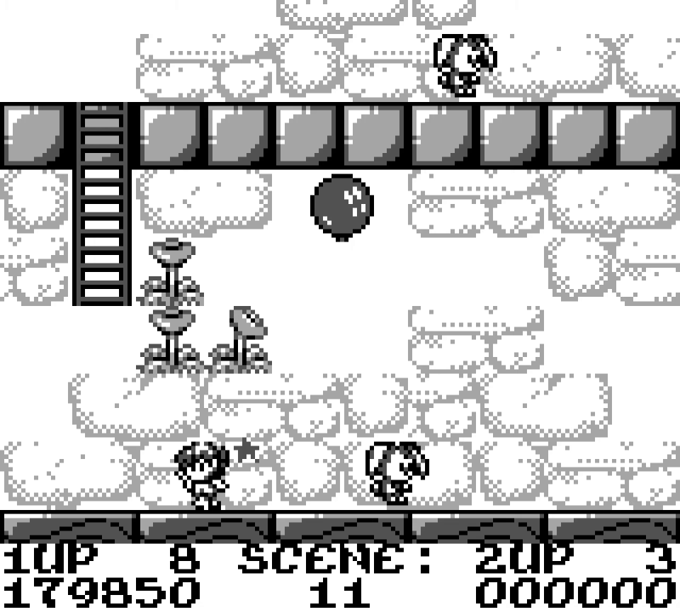 Rod Land (Collectors Edition)- Nintendo Entertainment System
