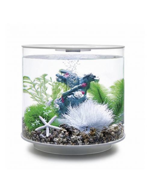 Biorb Easy Decor Kit - Aquarium - Ornament - 15 l Groen