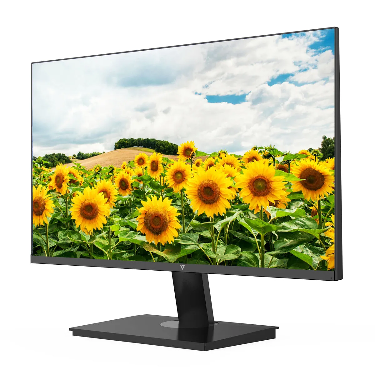 V7 L238V0-E Full HD 23,8