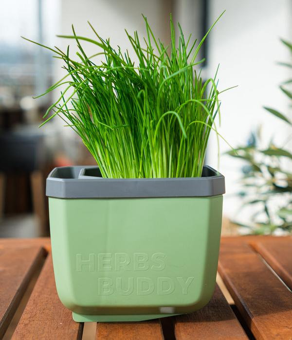 Gusta Garden Kräutertopf Herbs Buddy, ca.