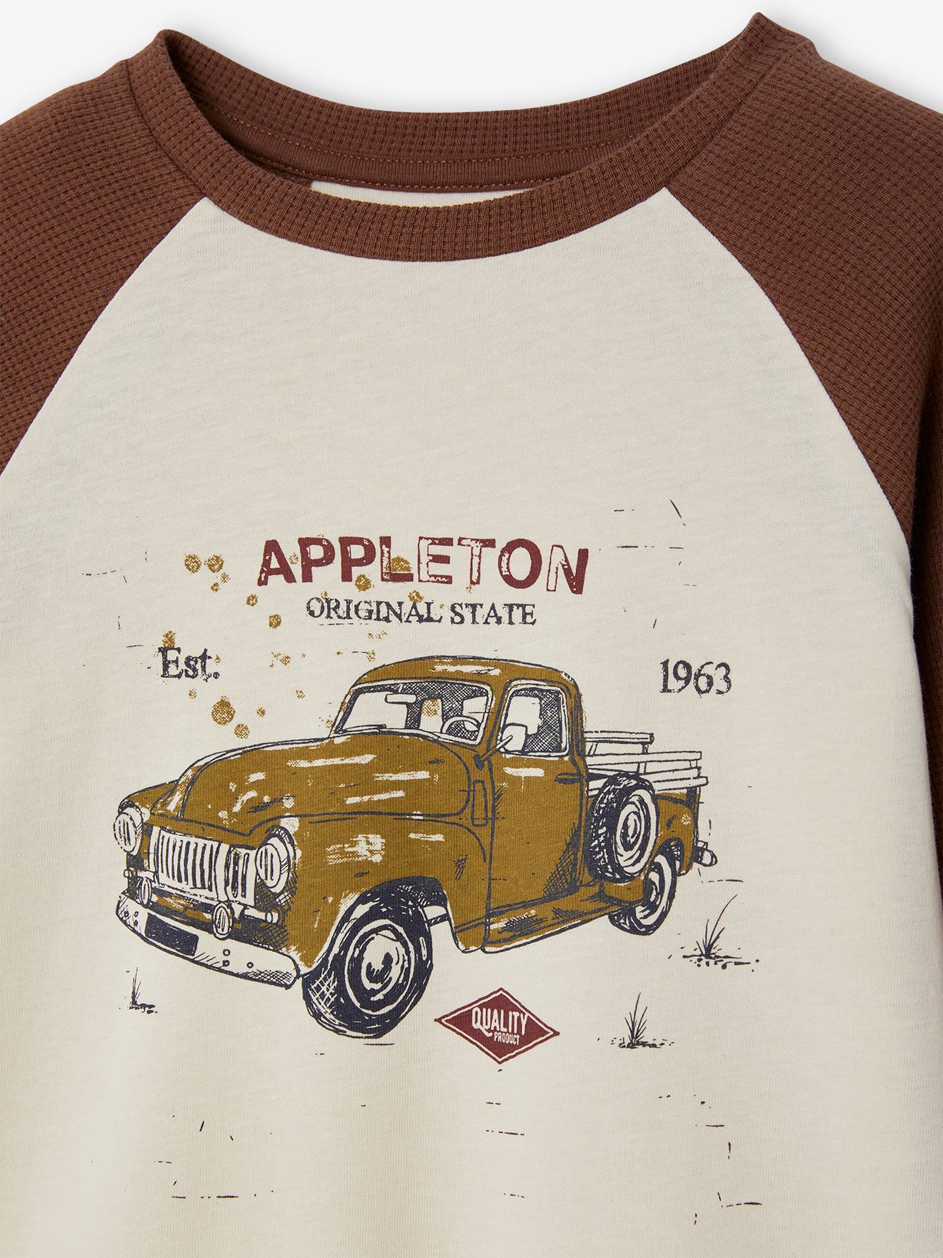 Camiseta infantil masculina em malha favo de mel com mangas raglan compridas e estampa de carro, na cor mocha.
