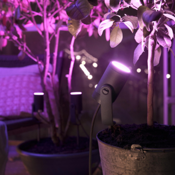 Philips Hue outdoor Lily startset prikspot 3x8W zwart