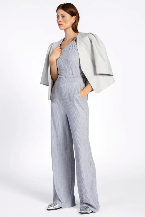 Aaiko zilveren dames broek
