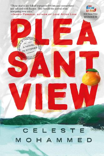 Pleasantview (Hardback)