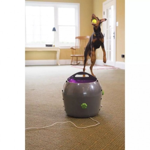 Lançador automático de bolas para cães, cinza