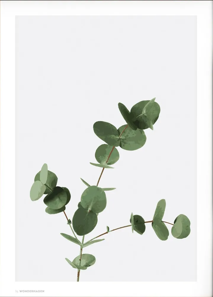 Poster&Frame Plakat Eucalyptus