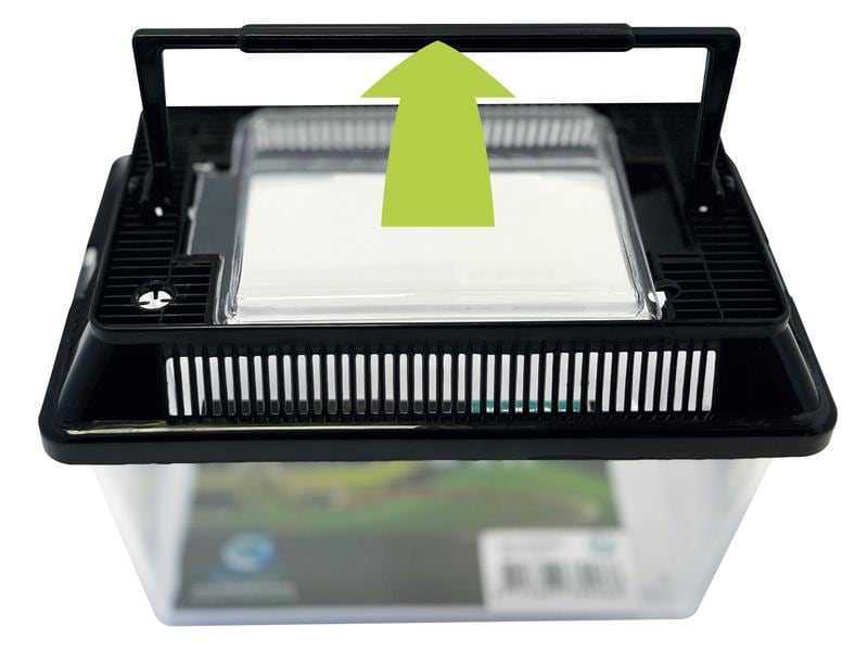 Repto Kunststoffterrarium Breedingbox S, 18 x 11 x 12 cm Allzweckterrarium für Reptilien, Amphibien, Mäuse, Spinnentiere und Insekten