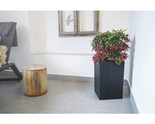 Cubico Stone plantenbak met plantenbak, kunststof, 27 x 27 x 42 cm, antraciet