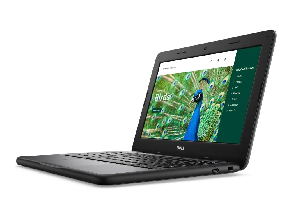 Dell Chromebook 3120 (2024) - Intel N-series - N100 / op til 3.4 GHz - Chrome OS - UHD Graphics - 4 GB RAM - 64 GB eMMC - 11.6