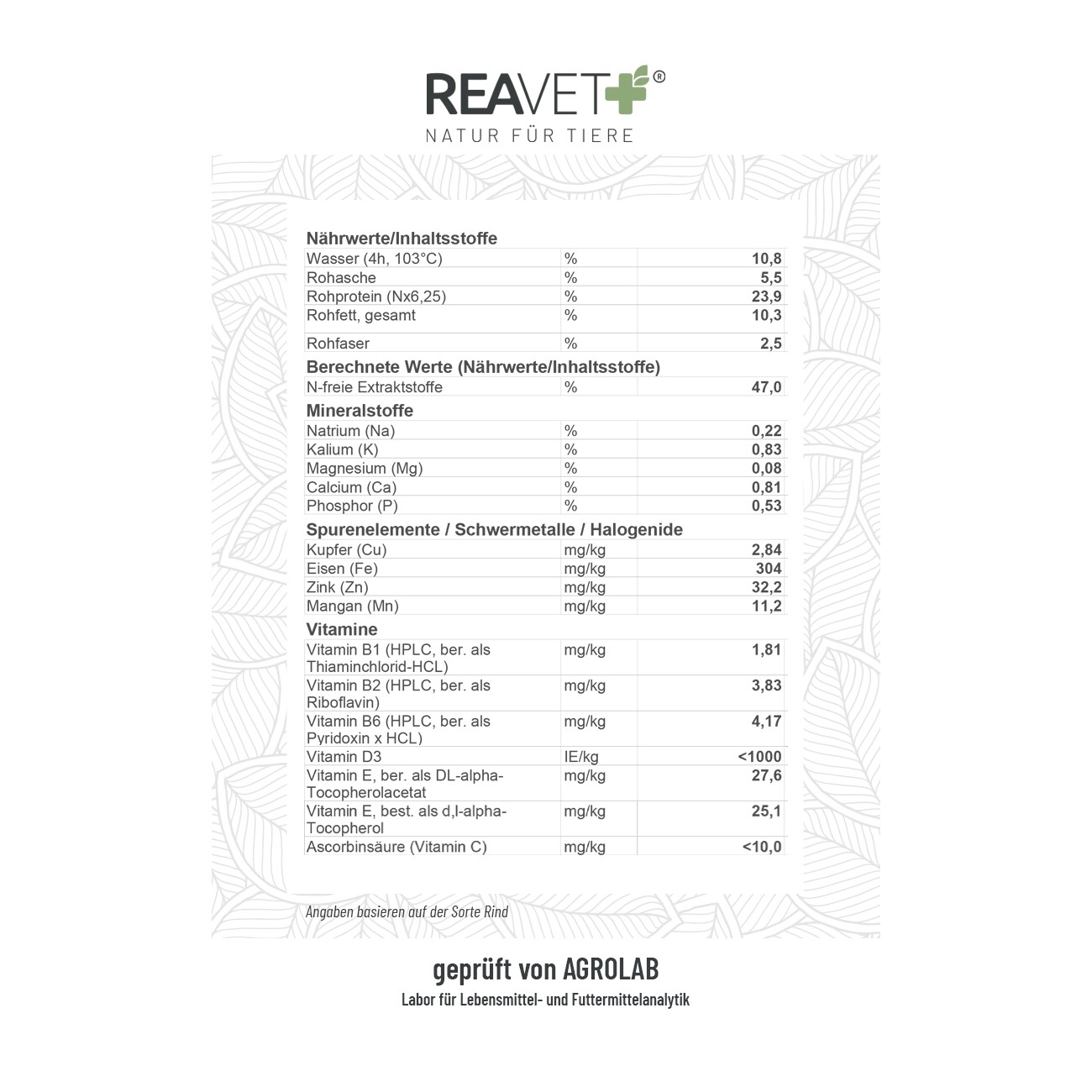 REAVET Trockenfutter Fjordlachs mit Kartoffeln & Seealge 12kg
