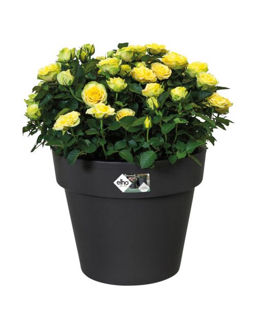 Elho Bloempot Green Basics Top Planter Rond Zwart - Buitenpot