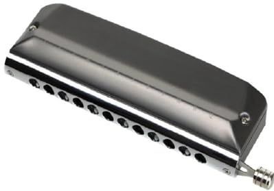 12-holes chromatische mondharmonica voor beginners op volwassen niveau