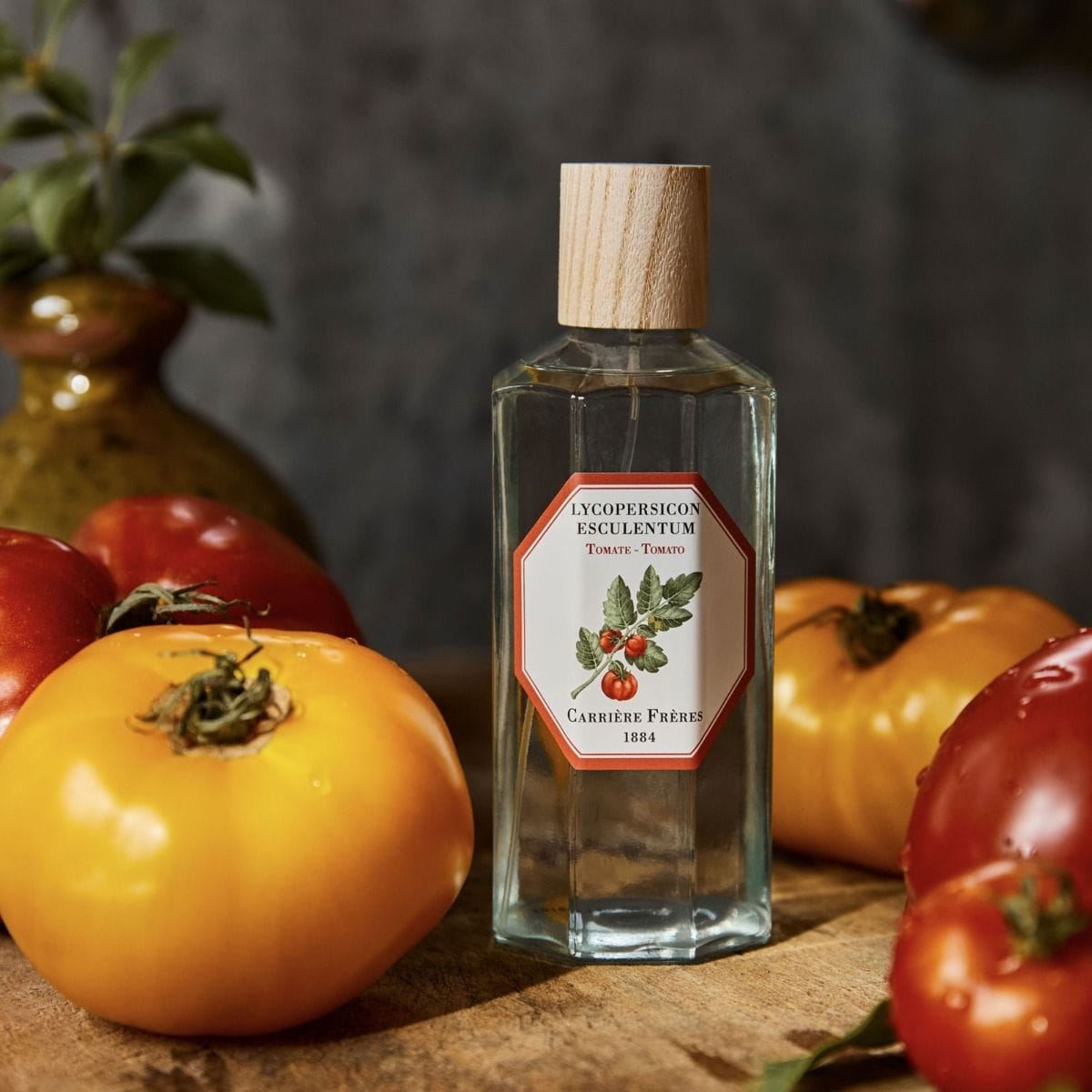 CARRIÈRE FRÈRES Tomate - Lycopersicon Esculentum Vaporisateur d'Ambiance