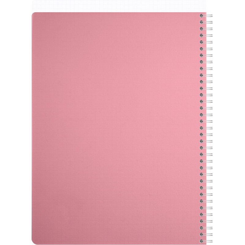 Carnet spirale Linicolor Essence A4 21 x 29,7 cm petits carreaux - 180 pages