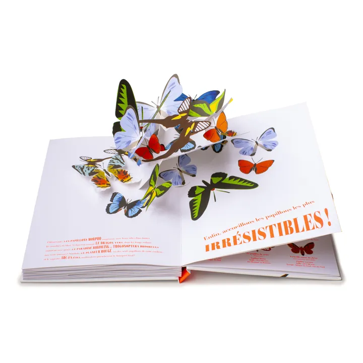 Helium Livre Papillons Illusions - B. Duisit & J. Brouant