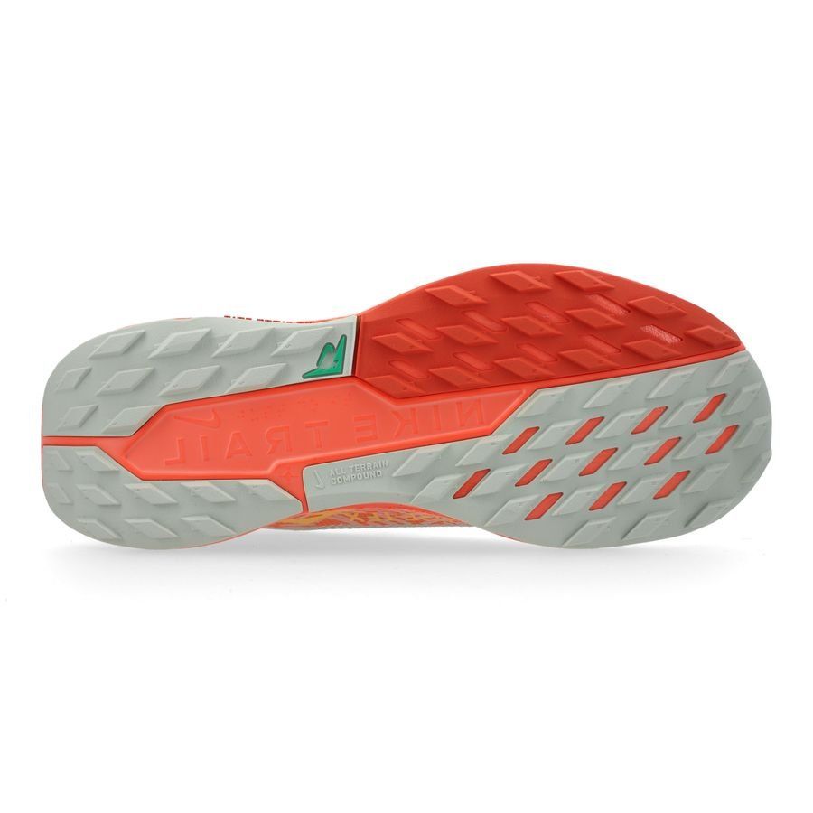 Nike Chaussures de Running Pegasus Trail 5 Gore-Tex - Argenté/Orange/Wild Mango Femme