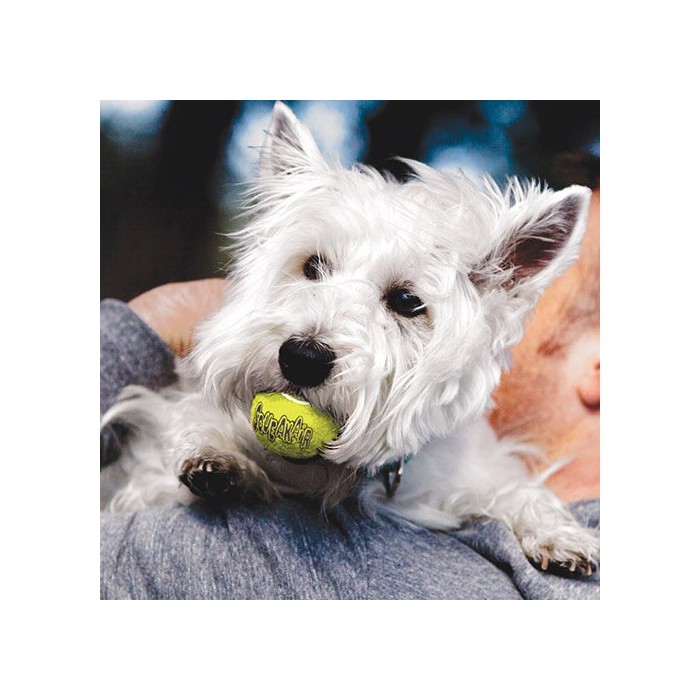 Trio de Balles de Tennis SqueakAir KONG