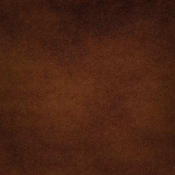 Rust-Oleum finish verf gietbrons 750 ml