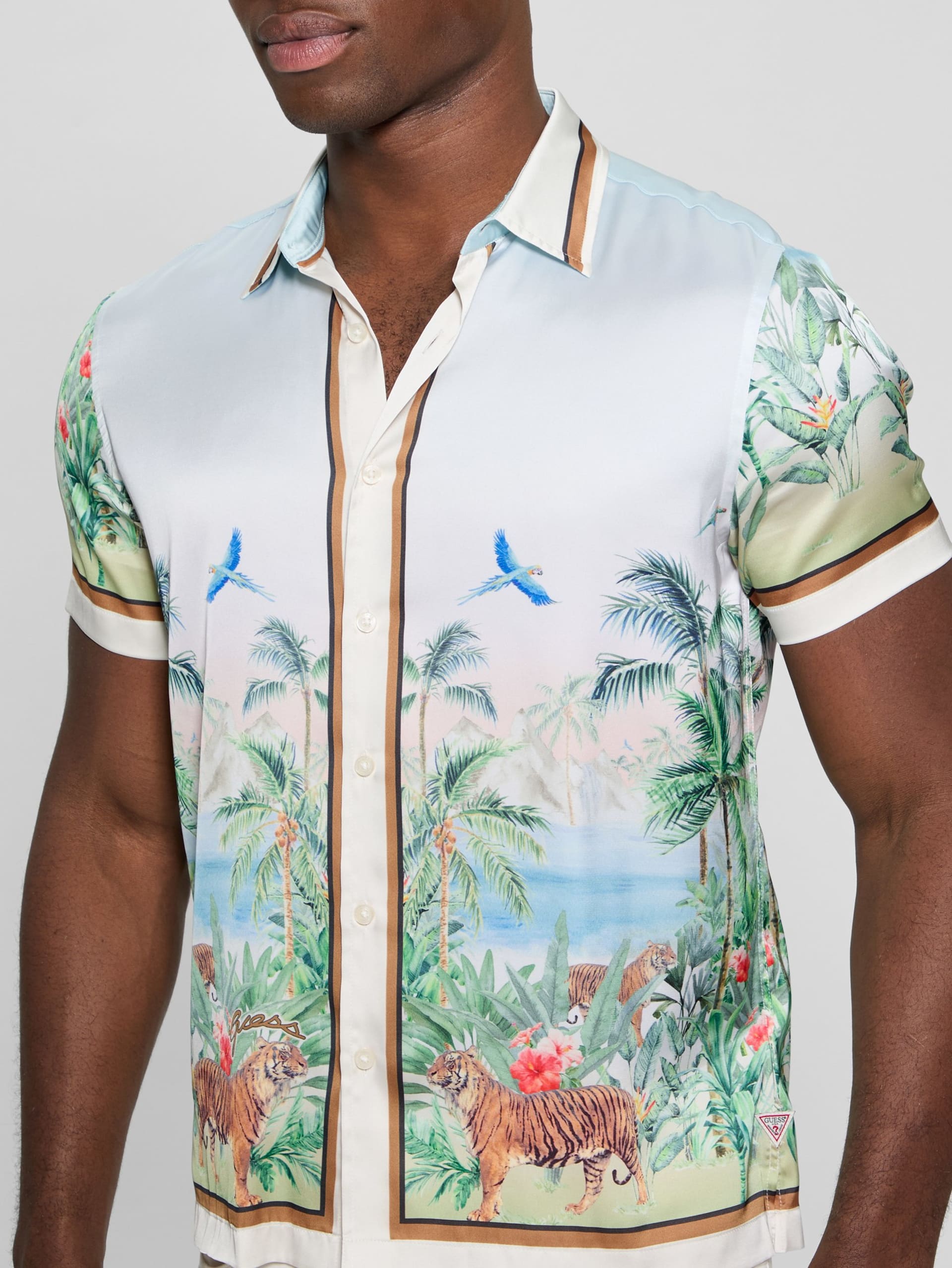 Camiseta Eco Big Cat