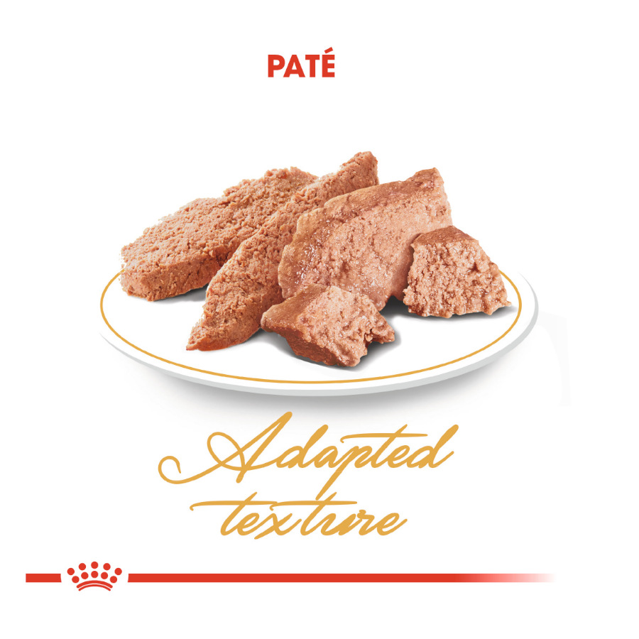 Royal Canin Feline Persian Adulto