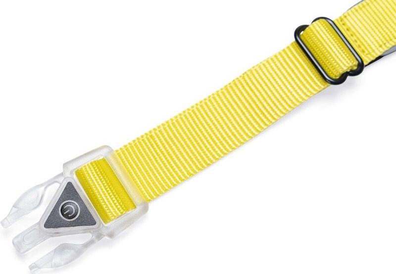 Beeztees - Safety Gear - Parinca Premium - Hondenhalsband - LED - Nylon
