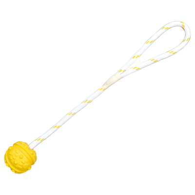 Trixie Ball am Seil schwimmt